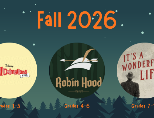 Fall Performance Info